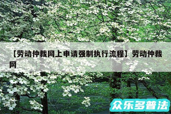 劳动仲裁网上申请强制执行流程还有劳动仲裁网