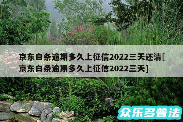 京东白条逾期多久上征信2024三天还清及京东白条逾期多久上征信2024三天