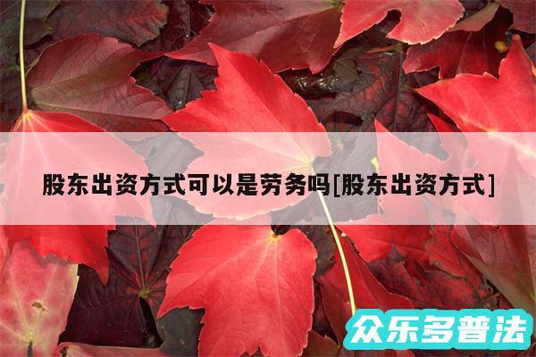 股东出资方式可以是劳务吗及股东出资方式