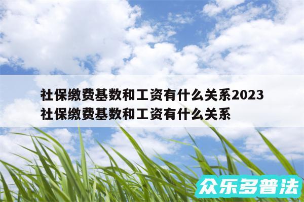 社保缴费基数和工资有什么关系2024
-社保缴费基数和工资有什么关系