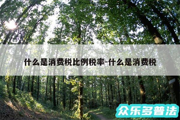 什么是消费税比例税率-什么是消费税