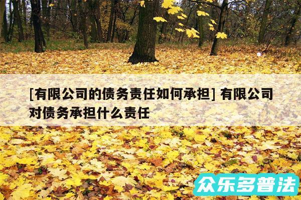 及有限公司的债务责任如何承担 有限公司对债务承担什么责任
