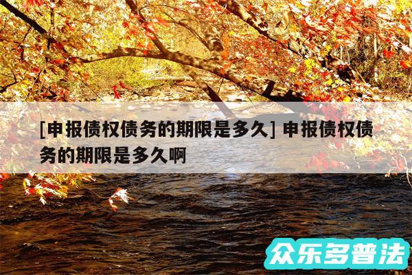 及申报债权债务的期限是多久 申报债权债务的期限是多久啊