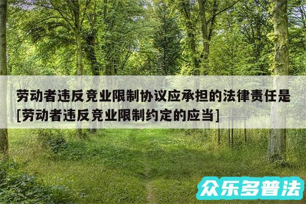 劳动者违反竞业限制协议应承担的法律责任是及劳动者违反竞业限制约定的应当