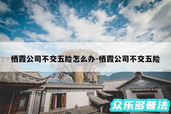 栖霞公司不交五险怎么办-栖霞公司不交五险