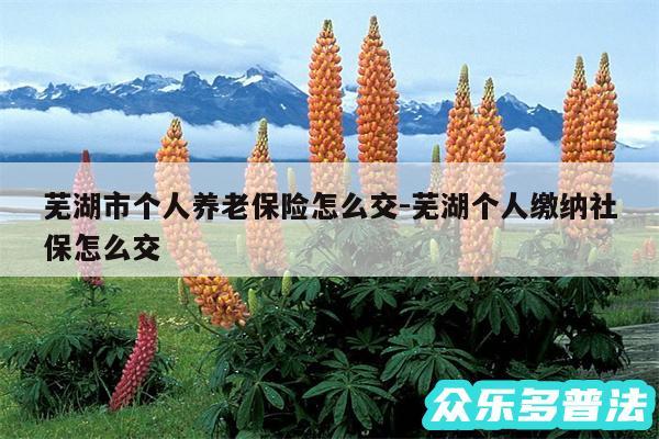 芜湖市个人养老保险怎么交-芜湖个人缴纳社保怎么交