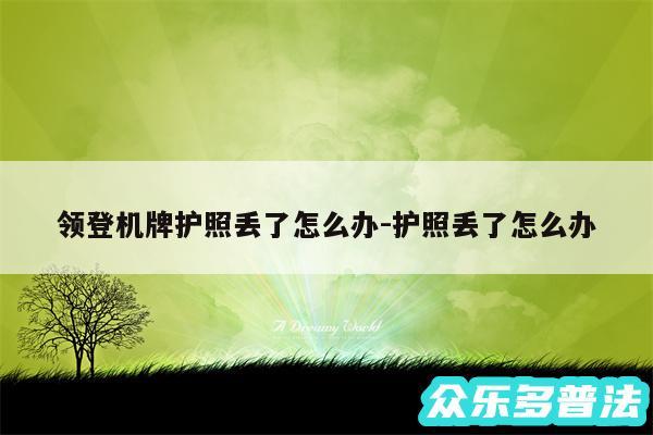 领登机牌护照丢了怎么办-护照丢了怎么办