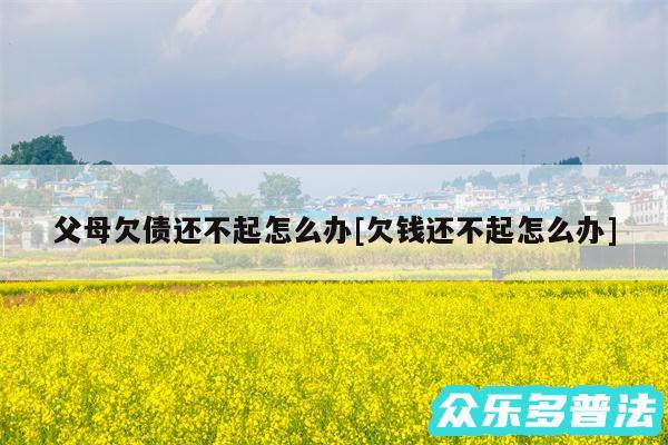 父母欠债还不起怎么办及欠钱还不起怎么办