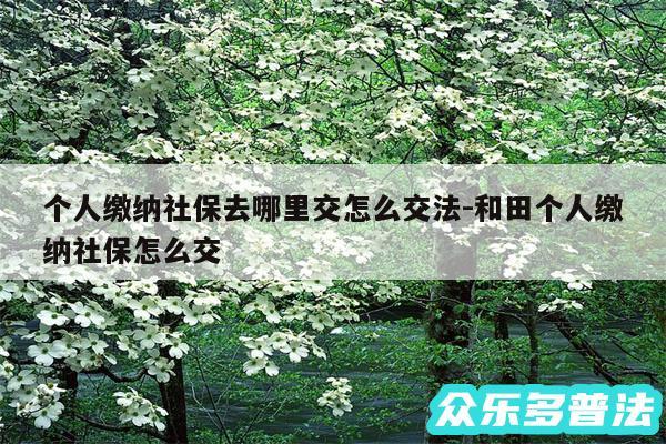 个人缴纳社保去哪里交怎么交法-和田个人缴纳社保怎么交