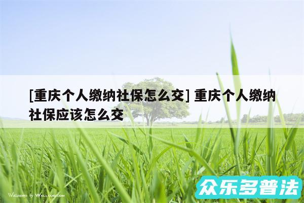 及重庆个人缴纳社保怎么交 重庆个人缴纳社保应该怎么交