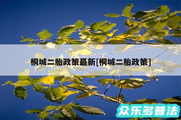 桐城二胎政策最新及桐城二胎政策