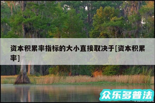 资本积累率指标的大小直接取决于及资本积累率