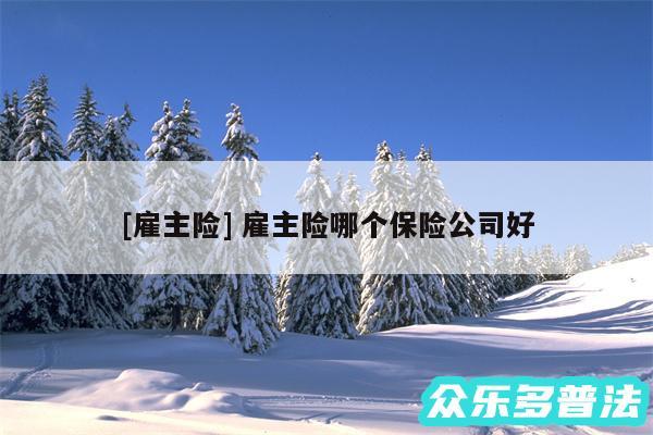 及雇主险 雇主险哪个保险公司好