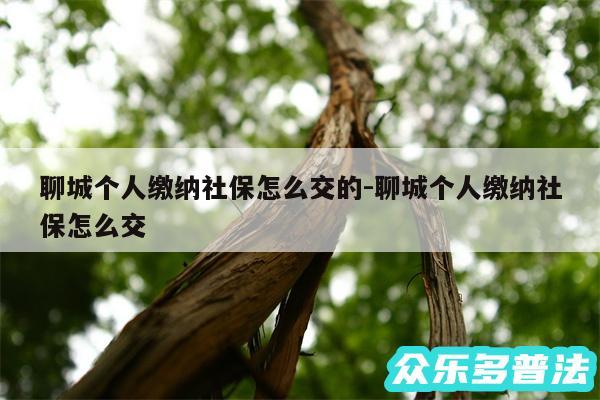 聊城个人缴纳社保怎么交的-聊城个人缴纳社保怎么交