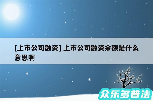 及上市公司融资 上市公司融资余额是什么意思啊