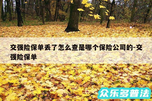 交强险保单丢了怎么查是哪个保险公司的-交强险保单