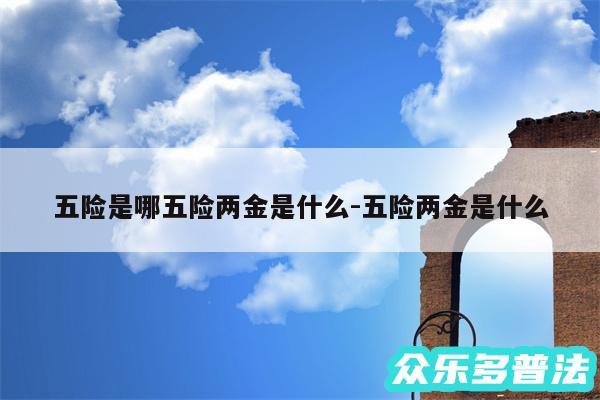 五险是哪五险两金是什么-五险两金是什么