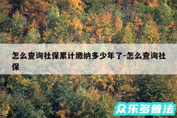 怎么查询社保累计缴纳多少年了-怎么查询社保