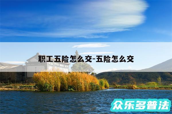 职工五险怎么交-五险怎么交