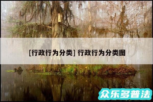 及行政行为分类 行政行为分类图