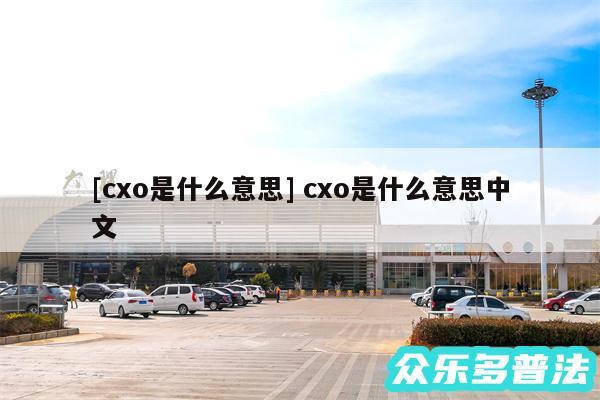 及cxo是什么意思 cxo是什么意思中文