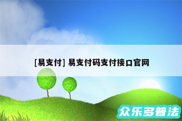 及易支付 易支付码支付接口官网