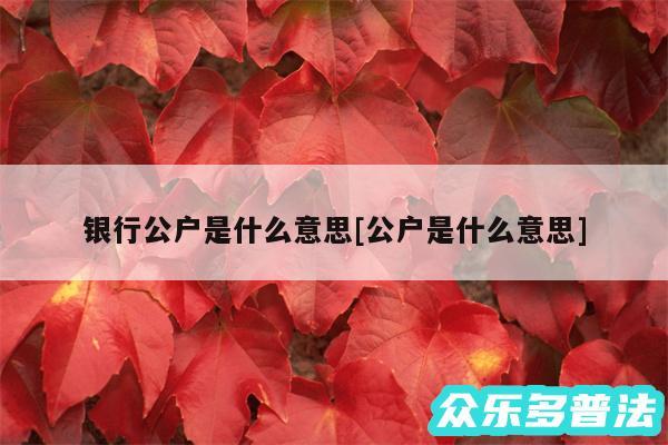 银行公户是什么意思及公户是什么意思