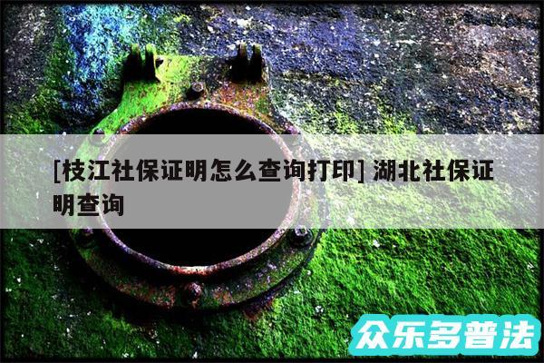 及枝江社保证明怎么查询打印 湖北社保证明查询