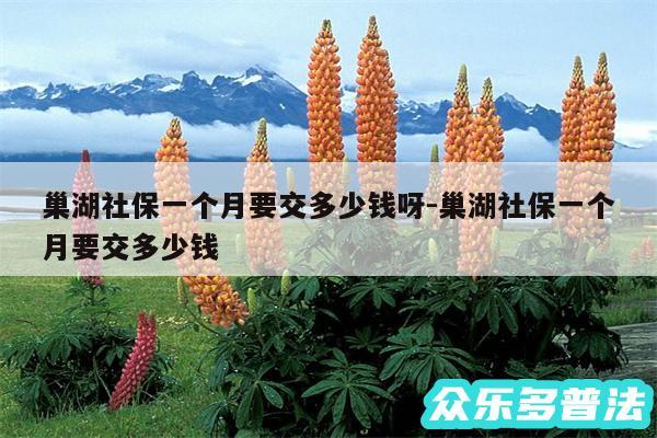 巢湖社保一个月要交多少钱呀-巢湖社保一个月要交多少钱