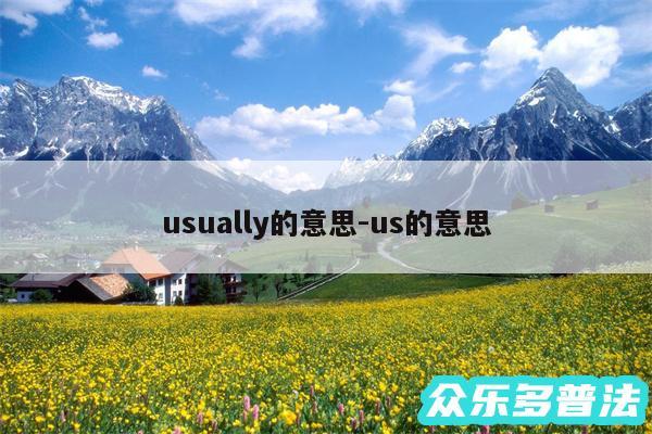 usually的意思-us的意思