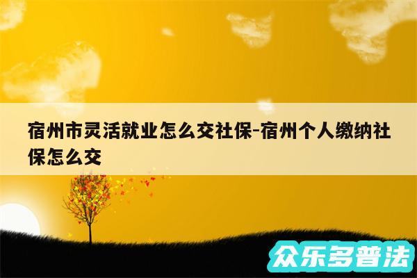 宿州市灵活就业怎么交社保-宿州个人缴纳社保怎么交