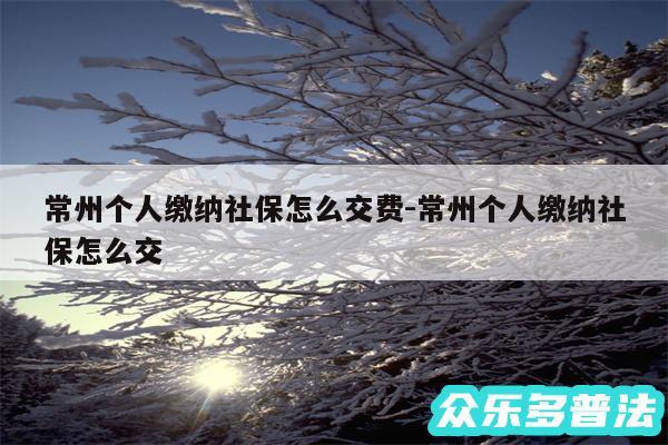 常州个人缴纳社保怎么交费-常州个人缴纳社保怎么交