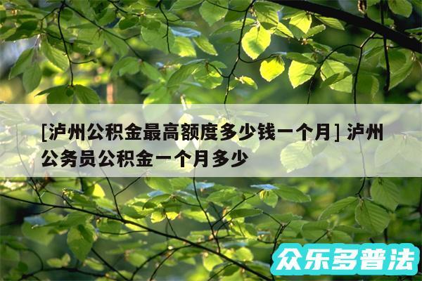 及泸州公积金最高额度多少钱一个月 泸州公务员公积金一个月多少