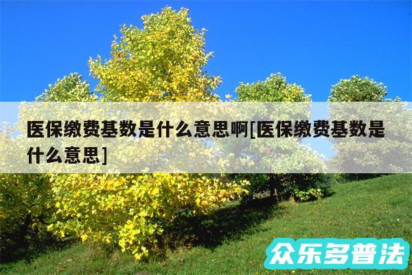 医保缴费基数是什么意思啊及医保缴费基数是什么意思