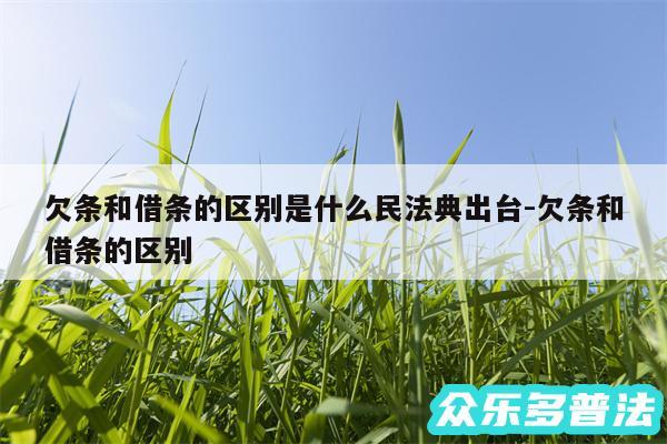 欠条和借条的区别是什么民法典出台-欠条和借条的区别