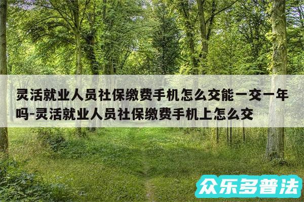 灵活就业人员社保缴费手机怎么交能一交一年吗-灵活就业人员社保缴费手机上怎么交