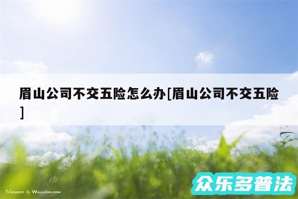 眉山公司不交五险怎么办及眉山公司不交五险