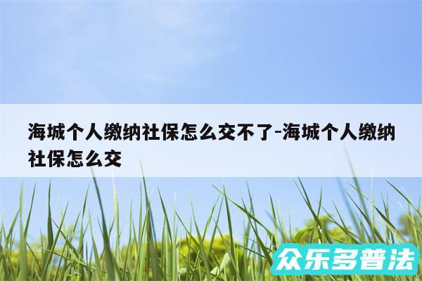 海城个人缴纳社保怎么交不了-海城个人缴纳社保怎么交