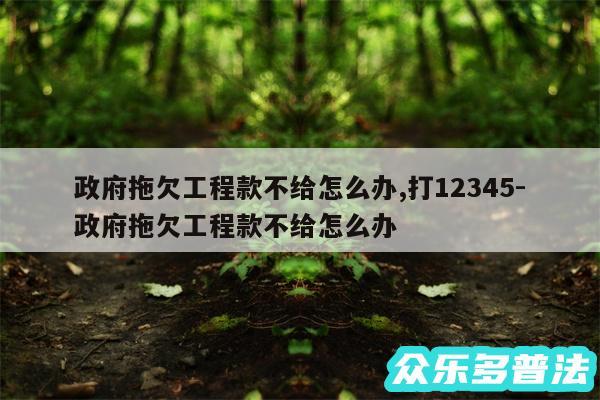 政府拖欠工程款不给怎么办,打12345-政府拖欠工程款不给怎么办