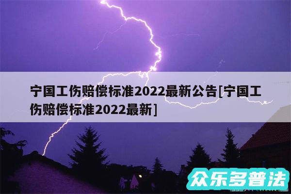 宁国工伤赔偿标准2024最新公告及宁国工伤赔偿标准2024最新