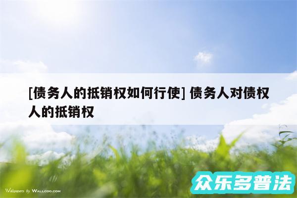 及债务人的抵销权如何行使 债务人对债权人的抵销权