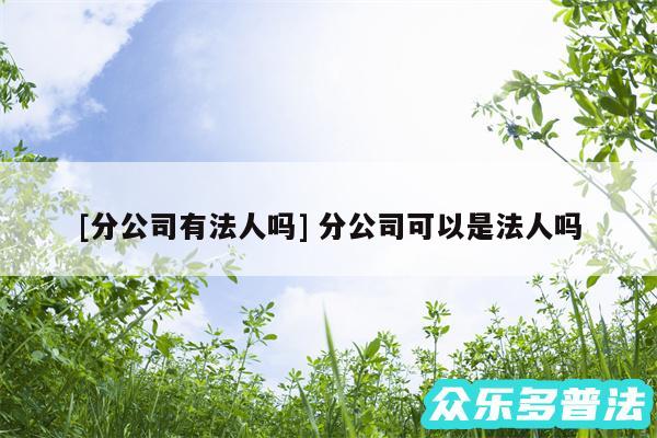 及分公司有法人吗 分公司可以是法人吗