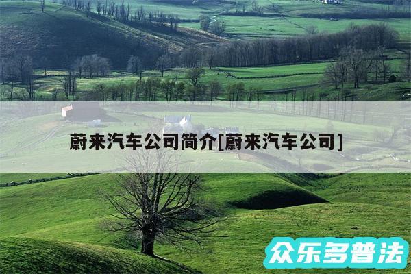 蔚来汽车公司简介及蔚来汽车公司