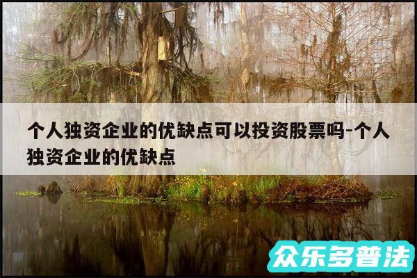 个人独资企业的优缺点可以投资股票吗-个人独资企业的优缺点