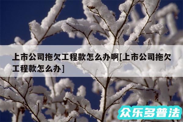 上市公司拖欠工程款怎么办啊及上市公司拖欠工程款怎么办