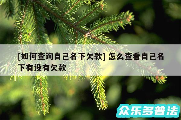 及如何查询自己名下欠款 怎么查看自己名下有没有欠款