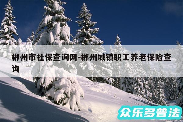 郴州市社保查询网-郴州城镇职工养老保险查询