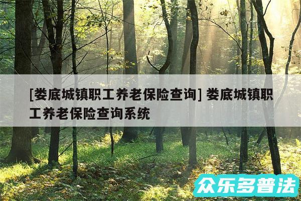 及娄底城镇职工养老保险查询 娄底城镇职工养老保险查询系统