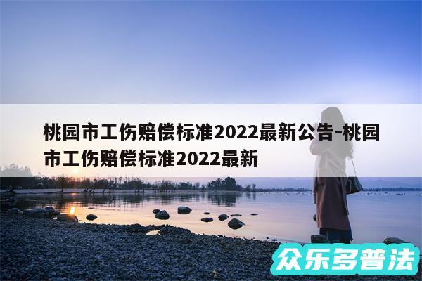 桃园市工伤赔偿标准2024最新公告-桃园市工伤赔偿标准2024最新