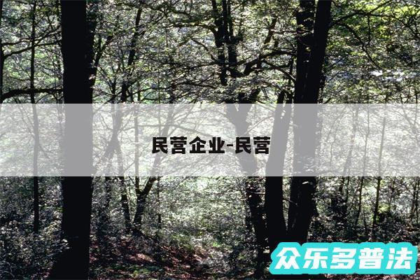 民营企业-民营